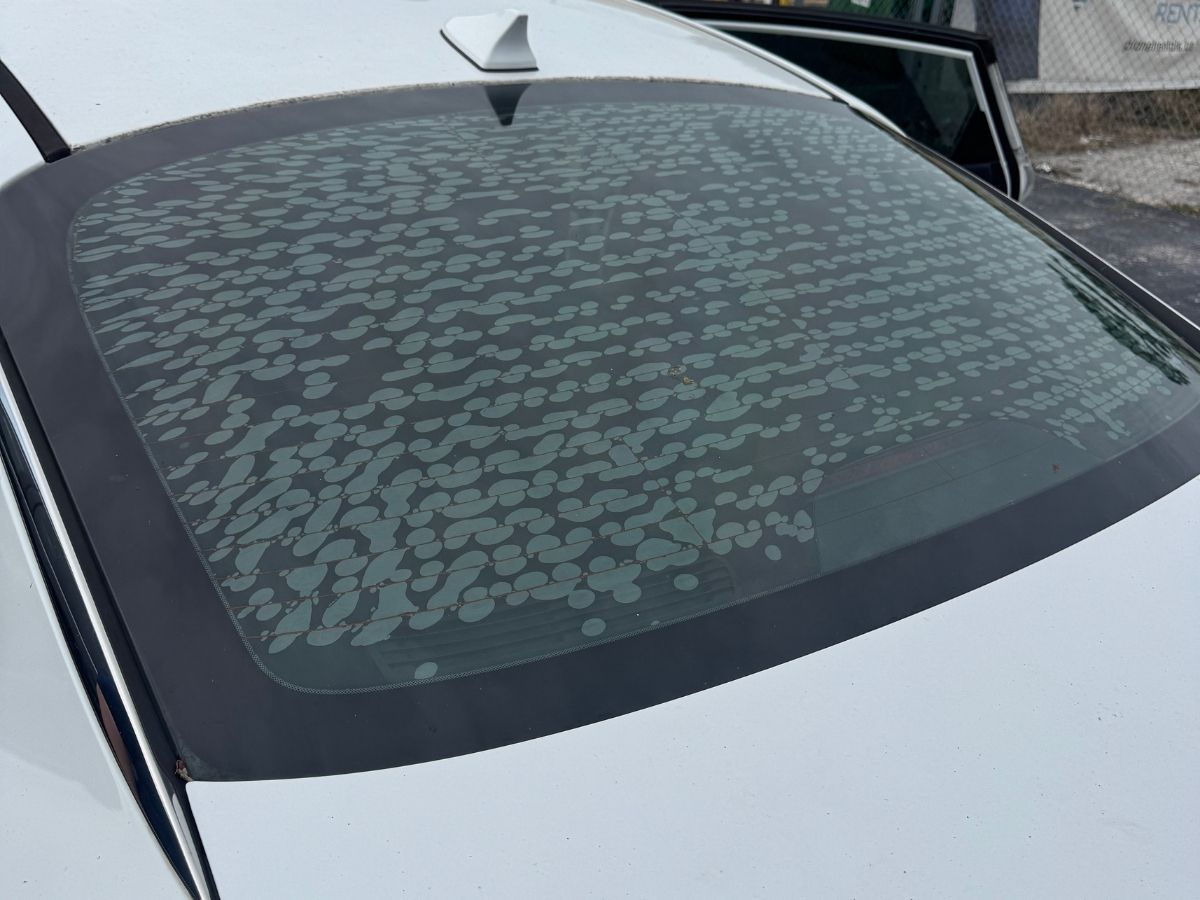Rear car window with failing window tint showing bubbles and film damage before replacement at Planet Car Care Orlando.
